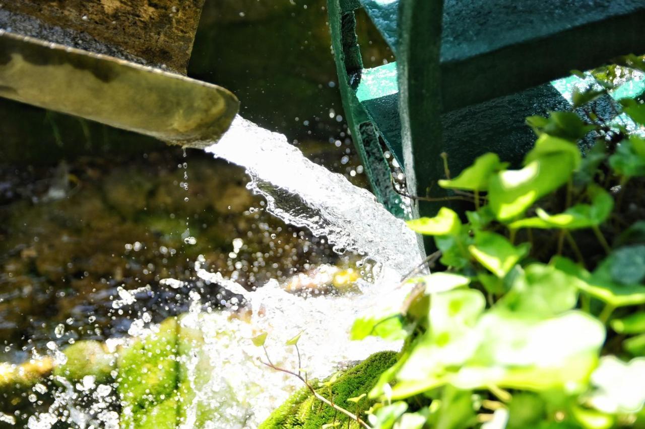 Jazina Hotel Trebinje Eksteriør bilde